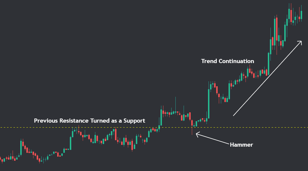 Hammer candle formed on Resistance that turned into support Example